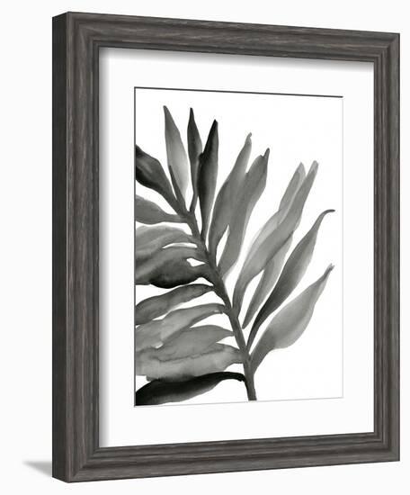 Tropical Palm III BW-Chris Paschke-Framed Art Print