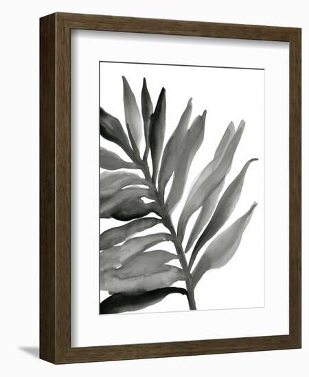 Tropical Palm III BW-Chris Paschke-Framed Art Print