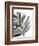 Tropical Palm III BW-Chris Paschke-Framed Art Print