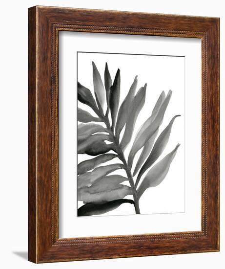 Tropical Palm III BW-Chris Paschke-Framed Art Print