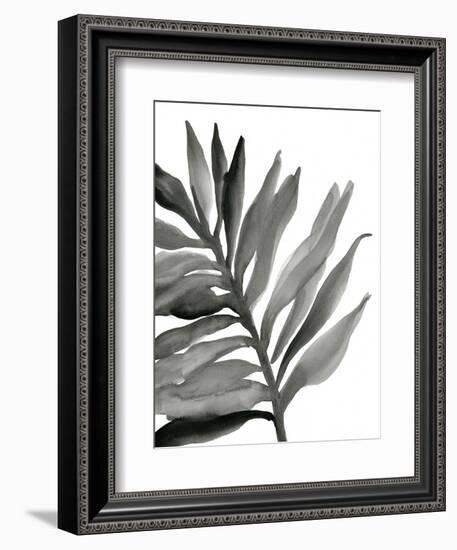 Tropical Palm III BW-Chris Paschke-Framed Art Print