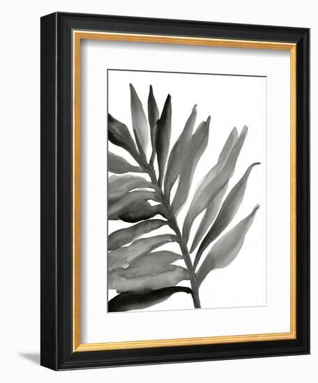 Tropical Palm III BW-Chris Paschke-Framed Art Print