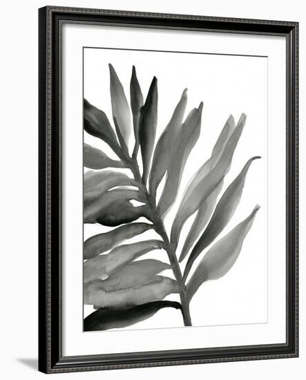 Tropical Palm III BW-Chris Paschke-Framed Premium Giclee Print