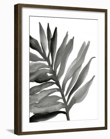 Tropical Palm III BW-Chris Paschke-Framed Premium Giclee Print