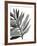 Tropical Palm III BW-Chris Paschke-Framed Premium Giclee Print