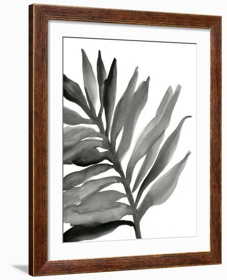 Tropical Palm III BW-Chris Paschke-Framed Premium Giclee Print