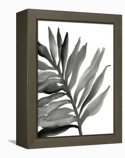 Tropical Palm III BW-Chris Paschke-Framed Stretched Canvas