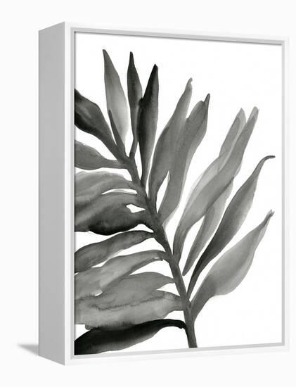 Tropical Palm III BW-Chris Paschke-Framed Stretched Canvas