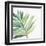 Tropical Palm III-Chris Paschke-Framed Art Print