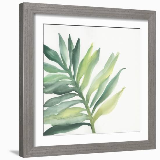 Tropical Palm III-Chris Paschke-Framed Art Print