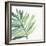 Tropical Palm III-Chris Paschke-Framed Art Print