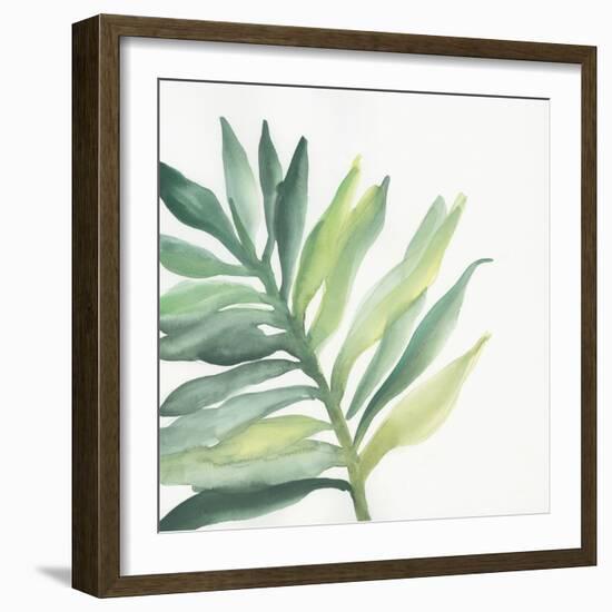 Tropical Palm III-Chris Paschke-Framed Art Print