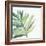 Tropical Palm III-Chris Paschke-Framed Art Print