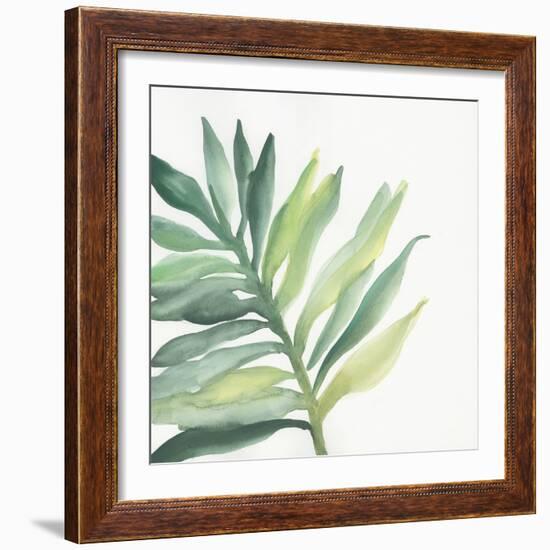 Tropical Palm III-Chris Paschke-Framed Art Print