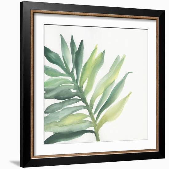 Tropical Palm III-Chris Paschke-Framed Art Print