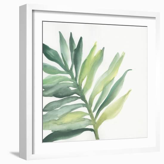 Tropical Palm III-Chris Paschke-Framed Art Print