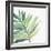 Tropical Palm III-Chris Paschke-Framed Art Print