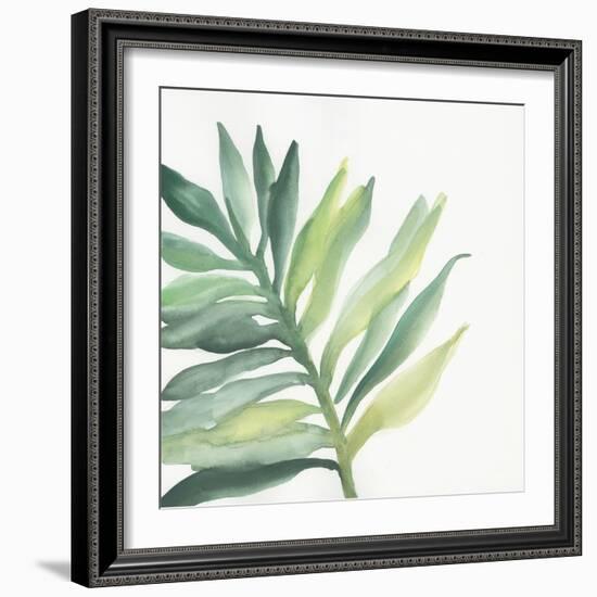 Tropical Palm III-Chris Paschke-Framed Art Print