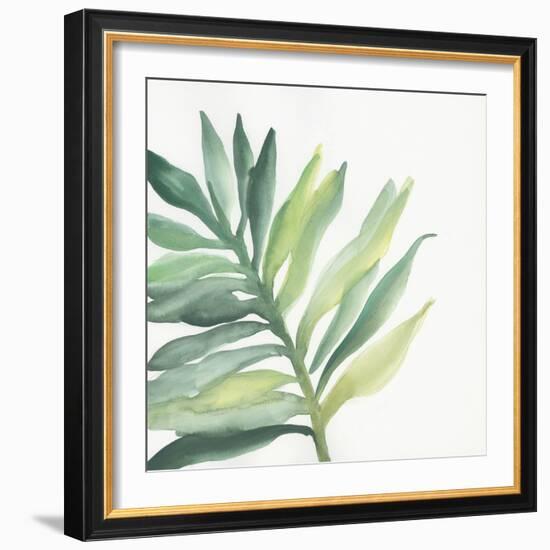 Tropical Palm III-Chris Paschke-Framed Art Print