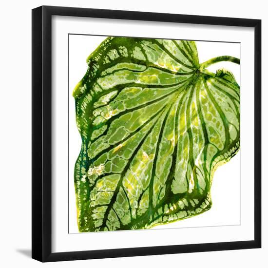 Tropical Palm III-Melonie Miller-Framed Art Print