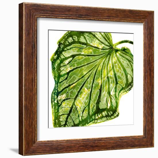 Tropical Palm III-Melonie Miller-Framed Art Print