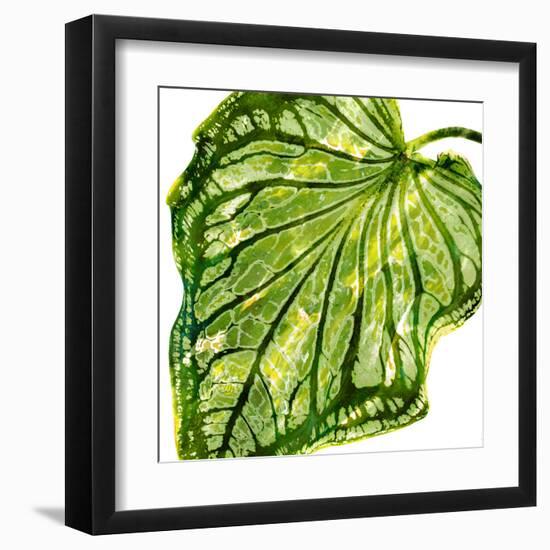 Tropical Palm III-Melonie Miller-Framed Art Print