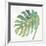 Tropical Palm IV-Chris Paschke-Framed Art Print