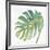 Tropical Palm IV-Chris Paschke-Framed Art Print
