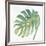 Tropical Palm IV-Chris Paschke-Framed Art Print