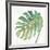 Tropical Palm IV-Chris Paschke-Framed Art Print