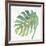 Tropical Palm IV-Chris Paschke-Framed Art Print