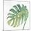 Tropical Palm IV-Chris Paschke-Mounted Art Print