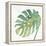 Tropical Palm IV-Chris Paschke-Framed Stretched Canvas