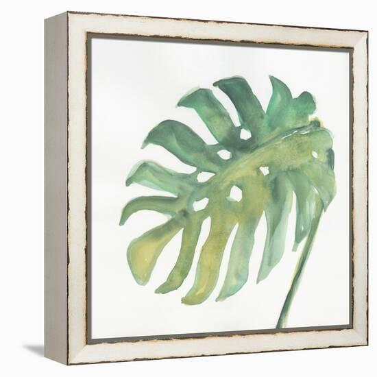 Tropical Palm IV-Chris Paschke-Framed Stretched Canvas