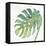 Tropical Palm IV-Chris Paschke-Framed Stretched Canvas