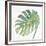 Tropical Palm IV-Chris Paschke-Framed Art Print