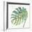 Tropical Palm IV-Chris Paschke-Framed Premium Giclee Print