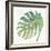 Tropical Palm IV-Chris Paschke-Framed Premium Giclee Print