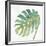 Tropical Palm IV-Chris Paschke-Framed Premium Giclee Print