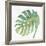 Tropical Palm IV-Chris Paschke-Framed Premium Giclee Print