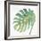 Tropical Palm IV-Chris Paschke-Framed Premium Giclee Print