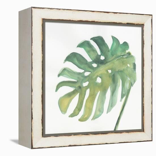 Tropical Palm IV-Chris Paschke-Framed Stretched Canvas