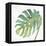 Tropical Palm IV-Chris Paschke-Framed Stretched Canvas