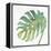 Tropical Palm IV-Chris Paschke-Framed Stretched Canvas