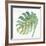 Tropical Palm IV-Chris Paschke-Framed Art Print