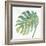 Tropical Palm IV-Chris Paschke-Framed Art Print