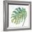 Tropical Palm IV-Chris Paschke-Framed Art Print