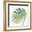 Tropical Palm IV-Chris Paschke-Framed Art Print