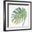 Tropical Palm IV-Chris Paschke-Framed Art Print