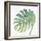 Tropical Palm IV-Chris Paschke-Framed Art Print